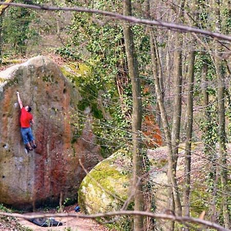 Le Cosy - 2 Pers - Hyper Centre De Fontainebleau Lägenhet Exteriör bild