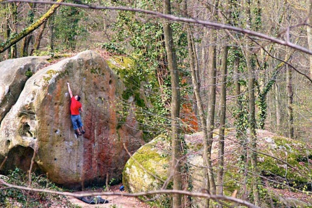 Le Cosy - 2 Pers - Hyper Centre De Fontainebleau Lägenhet Exteriör bild
